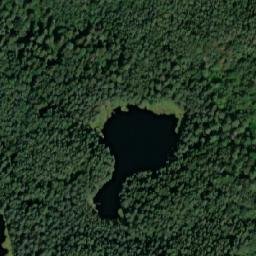 Satelita