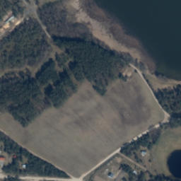 Satelita