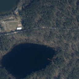 Satelita