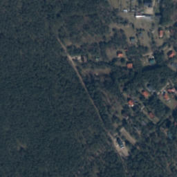 Satelita