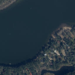 Satelita