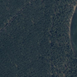Satelita