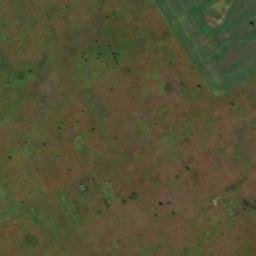 Satellite imagery of Черепаново, KZ