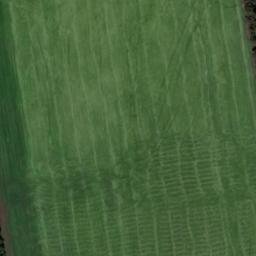 Satellite imagery of Суртаев Лог, KZ