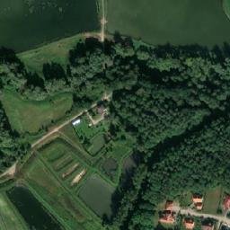 Satelita