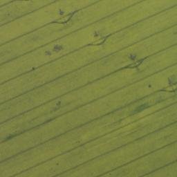 Satellite imagery of Mühlenberg, DE