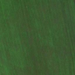Satellite imagery of Терентьевская, KZ