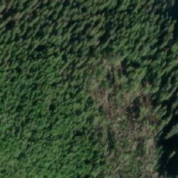 Satellite imagery of Marked Tree Bluff, CA