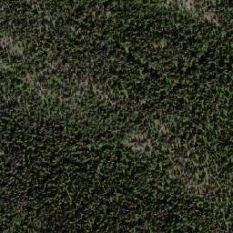 Satellite imagery of Poplar Mountain, CA