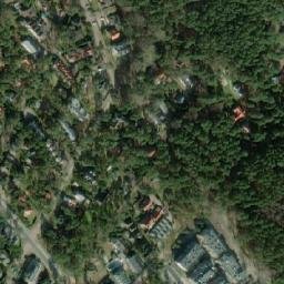 Satelita