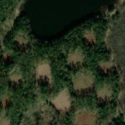 Satelita