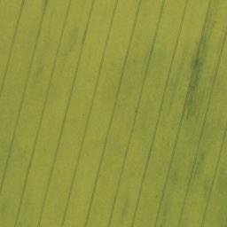 Satellite imagery of Müllerberg, DE