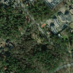Satelita