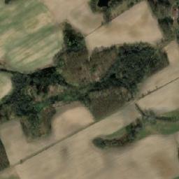 Satelita