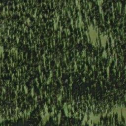 Satellite imagery of Bearpaw Ridge, CA