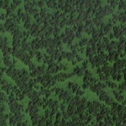 Satellite imagery of Банный, RU