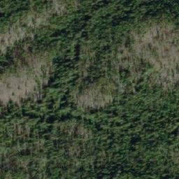 Satellite imagery of Savory Ridge, CA