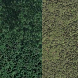 Satellite imagery of Pilot Mountain, CA