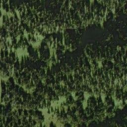 Satellite imagery of Bearpaw Ridge, CA