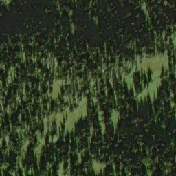 Satellite imagery of Bearpaw Ridge, CA