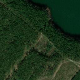 Satelita