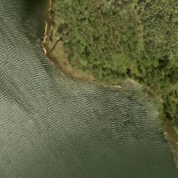 Satelita