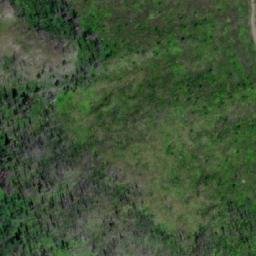 Satellite imagery of Taylor Ridge, CA