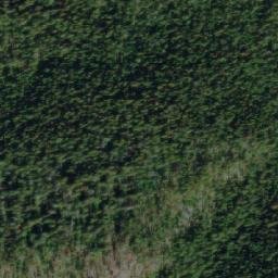 Satellite imagery of Savory Ridge, CA