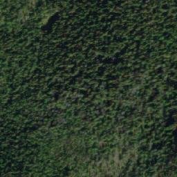 Satellite imagery of Savory Ridge, CA