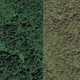 Satellite imagery of Pilot Mountain, CA