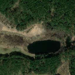 Satelita