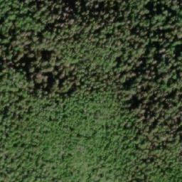 Satellite imagery of Spruce Hill, CA