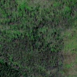 Satellite imagery of Taylor Ridge, CA