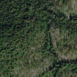 Satellite imagery of Savory Ridge, CA