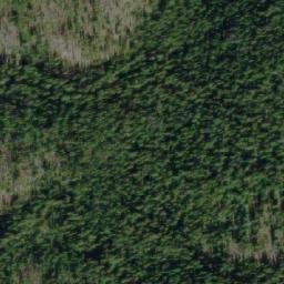 Satellite imagery of Savory Ridge, CA