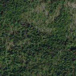Satellite imagery of Savory Ridge, CA
