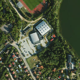 Satelita