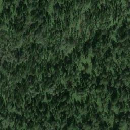Satellite imagery of Устье Ниж. Таловки, RU