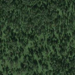 Satellite imagery of Устье Ниж. Таловки, RU