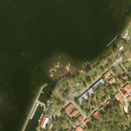 Satelita