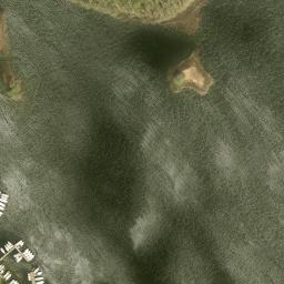 Satelita