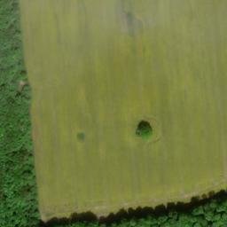 Satellite imagery of Petersberg, DE