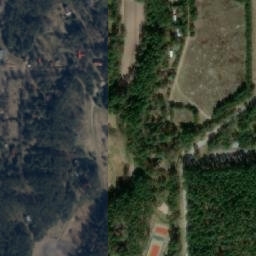 Satelita