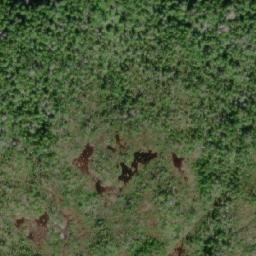 Satellite imagery of Edwin Point, CA