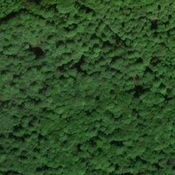 Satellite imagery of Petersberg, DE