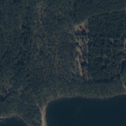 Satelita
