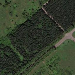 Satellite imagery of Салаир, KZ