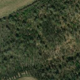 Satellite imagery of Пасека, KZ