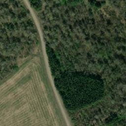 Satellite imagery of Пасека, KZ