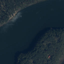 Satelita